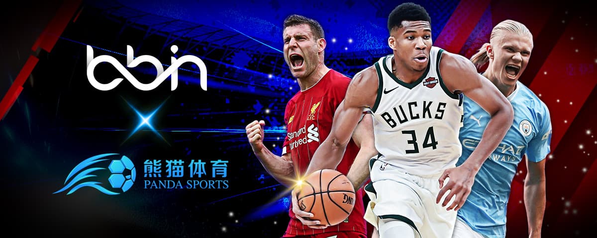 细则亮点解