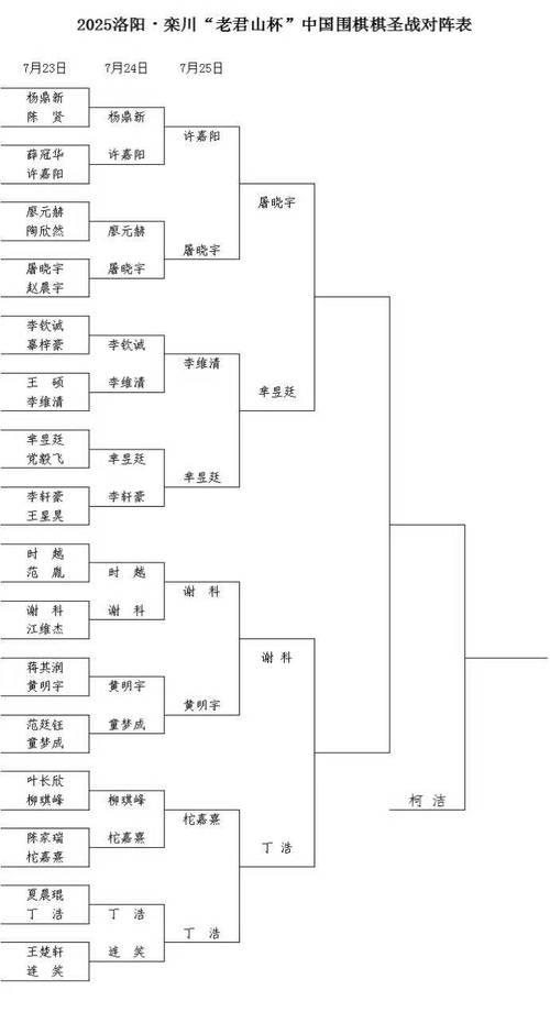 围棋棋圣战八强名单揭晓