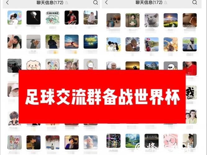 参与世界杯竞猜的微信群交流平台